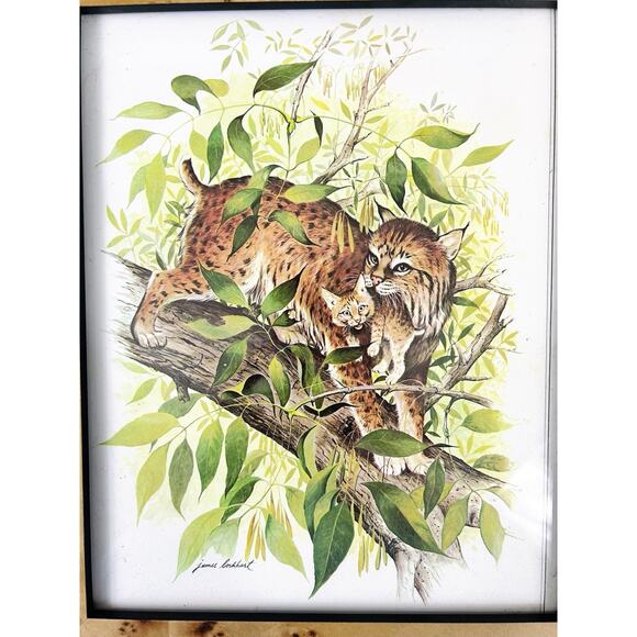 Vtg Wildlife Animal Bobcat Print by James Lockhart in Faux Burl Wood Frame - Picture 3 of 4